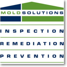 Mold Solutions